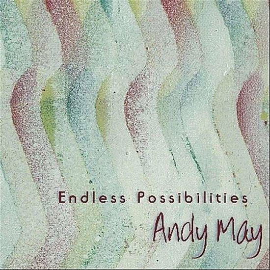 Endless Possibilities - Andy May - Musiikki - Swift RIver Music - 0641955011620 - tiistai 7. helmikuuta 2012