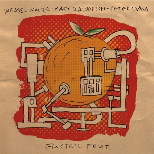 Cover for Halvorson,mary / Evans,peter / Walter,weasel · Electric Fruit (CD) (2011)