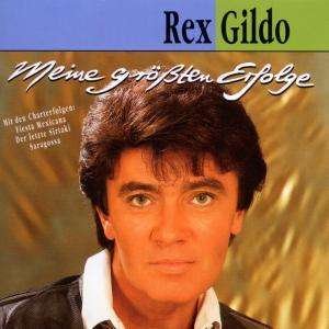 Cover for Rex Gildo · Meine Grossten Erfolge (CD) (1999)