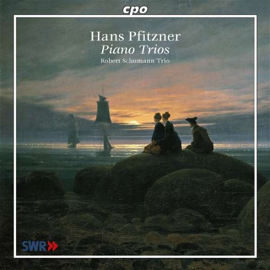 Cover for H. Pfitzner · Piano Trios (CD) (2001)