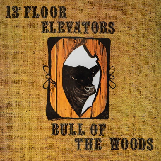 Cover for 13th Floor Elevators · Bull of the Woods (CD) (2024)