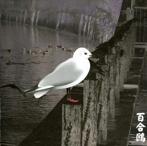 Cover for Merzbow · 13 Japanese Birds 3 (CD) [Limited, Deluxe edition] (2009)