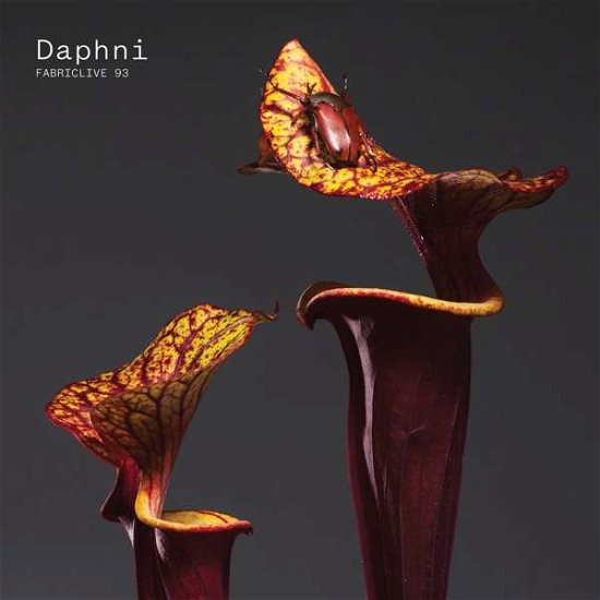Cover for Daphni · Fabriclive 93 Daphni (CD) (2017)