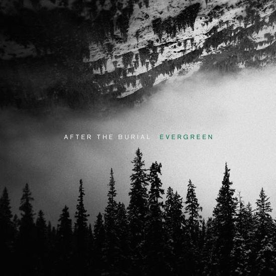 After the Burial · Evergreen (CD) (2019)