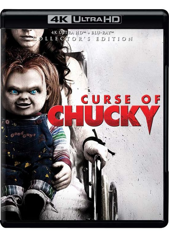 Curse of Chucky - 4k Ultra Hd - Filmes - HORROR - 0826663236620 - 29 de agosto de 2023