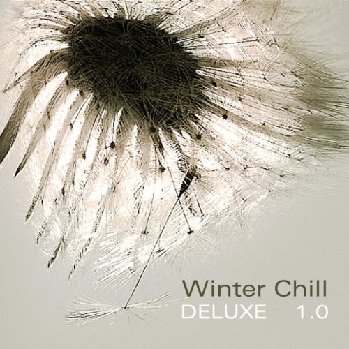 Cover for Winter Chill · Deluxe 1.0-v/a (CD) [Digipak] (2018)