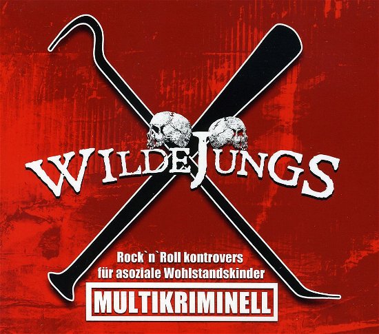 Cover for Wilde Jungs · Multikriminell (CD) [Digipak] (2011)