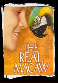 The Real Macaw - Graham Parker - Musikk - CHERRY RED - 5013929764620 - 5. januar 2009