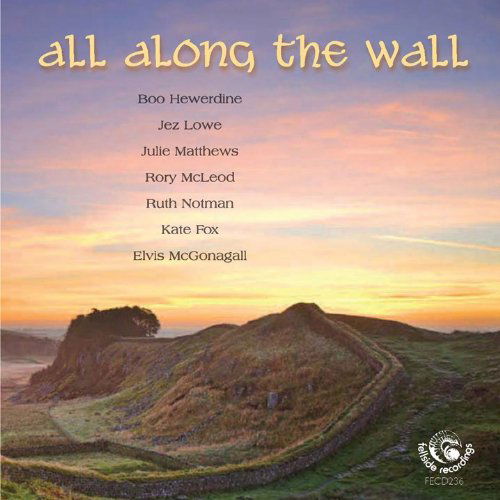 All Along The Wall - V/A - Musik - FELLSIDE REC - 5017116023620 - 3 februari 2011