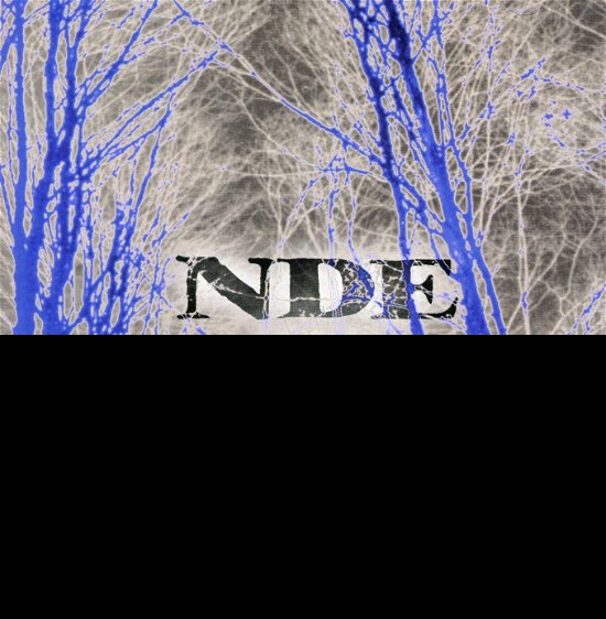 Cover for Nde · Fix (CD) (2002)