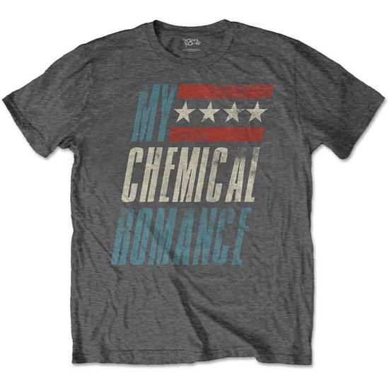 Cover for My Chemical Romance · My Chemical Romance Unisex T-Shirt: Raceway (Charcoal Grey) (T-shirt) [size S] [Grey - Unisex edition] (2022)