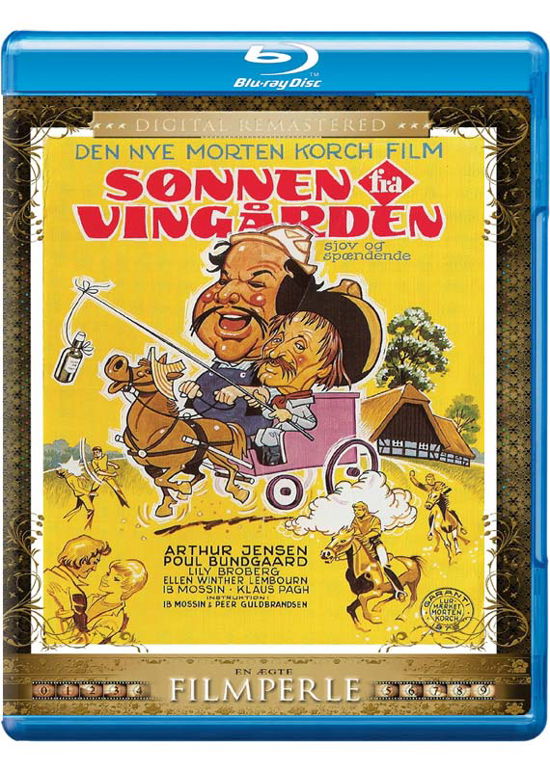 Cover for Sønnen fra Vingården · Sønnen fra Vingården (Hd) (Blu-ray) (2019)