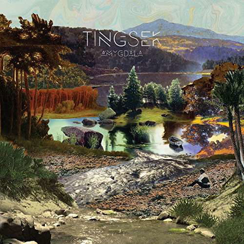 Amygdala - Tingsek - Musikk - BAD TASTE RECORDS AB - 7330169557620 - 3. november 2023