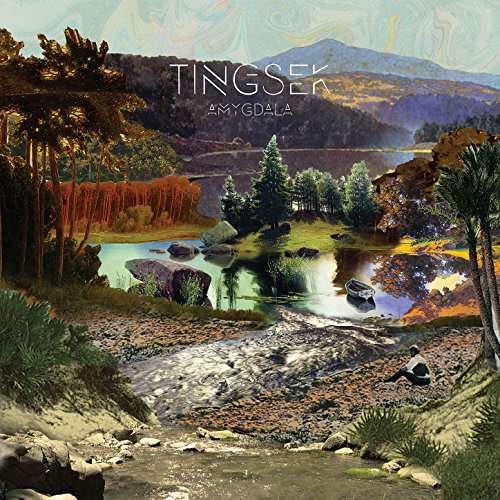 Cover for Tingsek · Amygdala (CD) (2023)