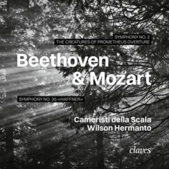 Cover for Cameristi Della Scala / Wilson Hermanto · Beethoven &amp; Mozart (CD) (2024)