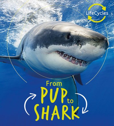 Cover for Camilla De La Bedoyere · Lifecycles - Pup To Shark - Life Cycles (Paperback Bog) (2019)
