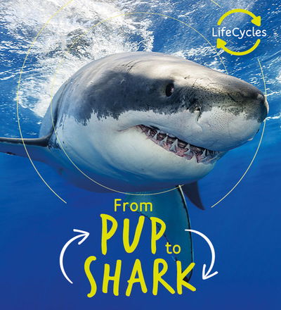 Lifecycles - Pup To Shark - Life Cycles - Camilla De La Bedoyere - Books - QED Publishing - 9780711243620 - August 20, 2019