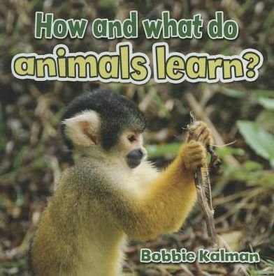 Cover for Bobbie Kalman · How and What Do Animals Learn? (Hardcover Book) (2015)