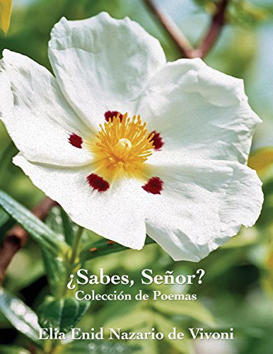 Cover for Elia E. Nazario De Vivoni · Sabes, Senor? (Paperback Book) [Spanish, Anniversary edition] (2014)