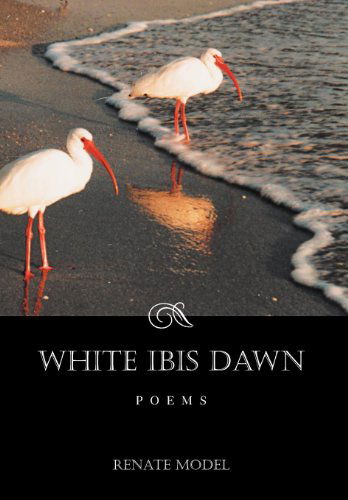 Cover for Renate Model · White Ibis Dawn (Hardcover Book) (2011)