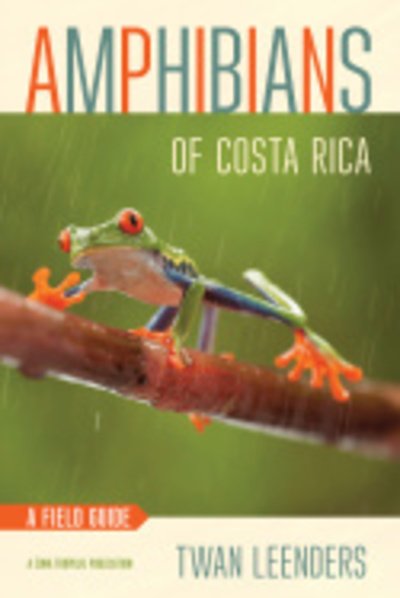 Cover for Twan Leenders · Amphibians of Costa Rica: A Field Guide - Zona Tropical Publications (Taschenbuch) (2016)