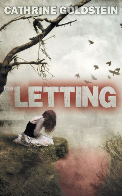 Cover for Cathrine Goldstein · The Letting (Paperback Book) (2014)