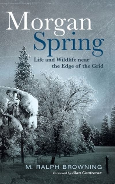 Cover for M Ralph Browning · Morgan Spring (Hardcover Book) (2021)