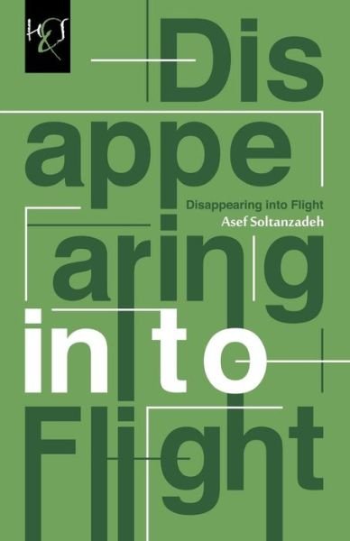 Cover for Asef Soltanzadeh · Disappearing into Flight (Paperback Book) (2013)