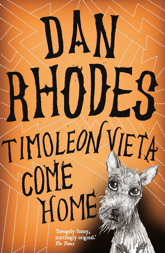 Timoleon Vieta Come Home - Dan Rhodes - Kirjat - Canongate Books Ltd - 9781847675620 - torstai 4. helmikuuta 2010