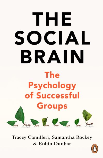 Cover for Tracey Camilleri · The Social Brain: The Psychology of Successful Groups (Paperback Book) (2024)