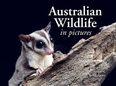 Cover for New Holland · Australian Wildlife in Pictures (Book) (2023)