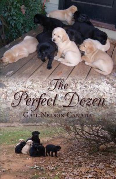 Cover for Gail Nelson Canada · The Perfect Dozen (Paperback Book) (2015)