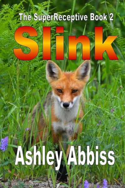 Cover for Ashley Abbiss · Slink (Paperback Book) (2017)