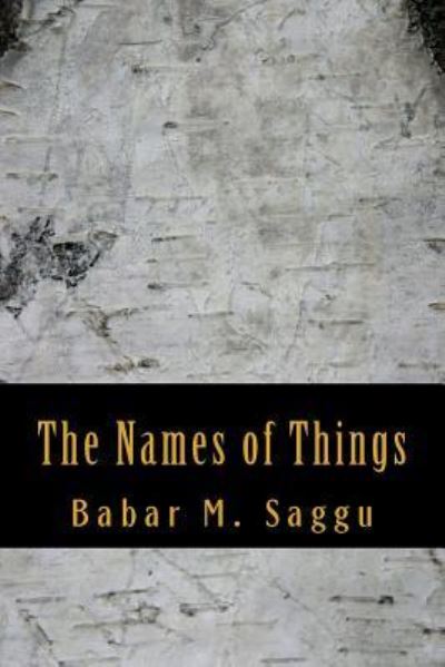 Cover for Babar M Saggu · The Names of Things (Paperback Book) (2018)