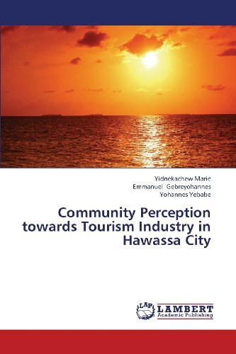 Cover for Yohannes Yebabe · Community Perception Towards Tourism Industry in Hawassa City (Paperback Bog) (2013)