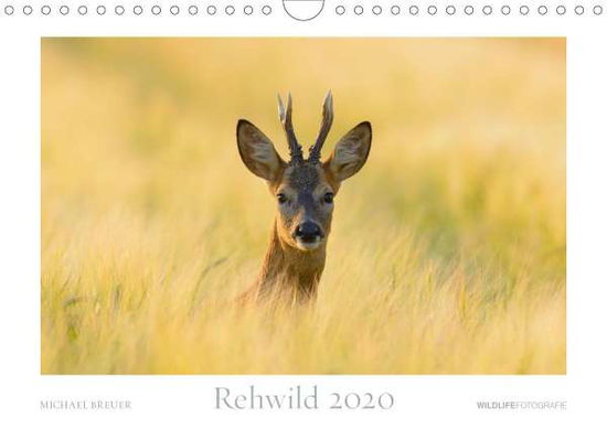 Cover for Breuer · Rehwild 2020 (Wandkalender 2020 (Book)