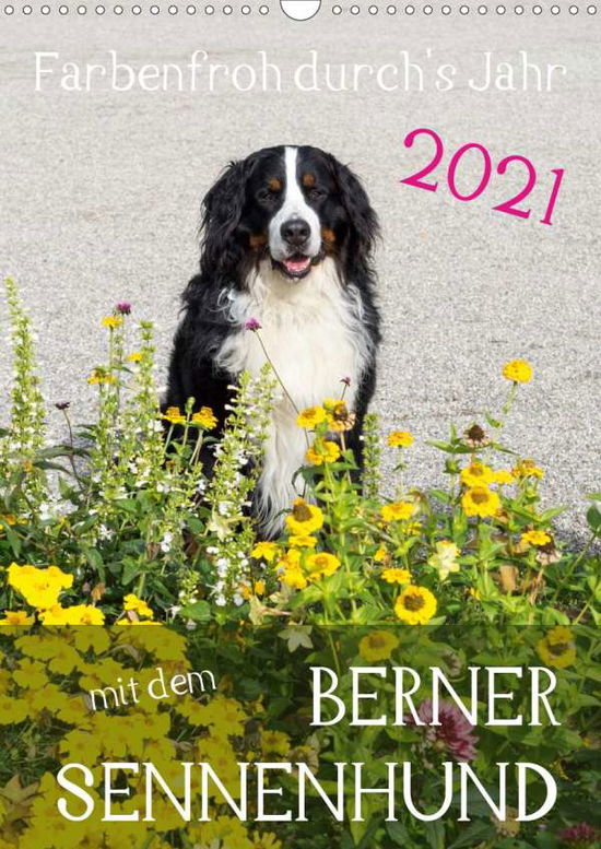 Cover for Brenner · Farbenfroh durch's Jahr mit dem (Book)