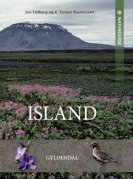 Naturguide Island - Jon Feilberg; Kristian Torben Rasmussen - Livros - Gyldendal - 9788702278620 - 14 de maio de 2019