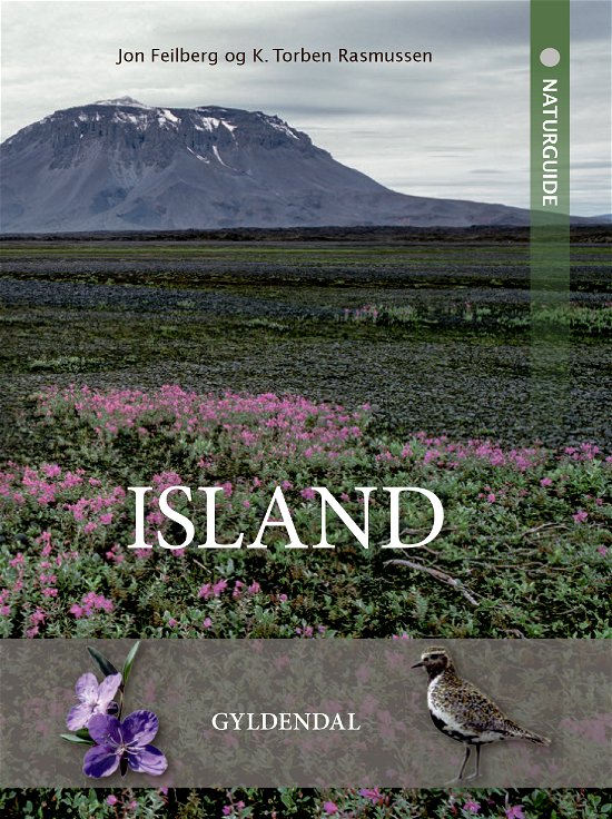 Cover for Jon Feilberg; Kristian Torben Rasmussen · Naturguide Island (Heftet bok) [1. utgave] (2019)