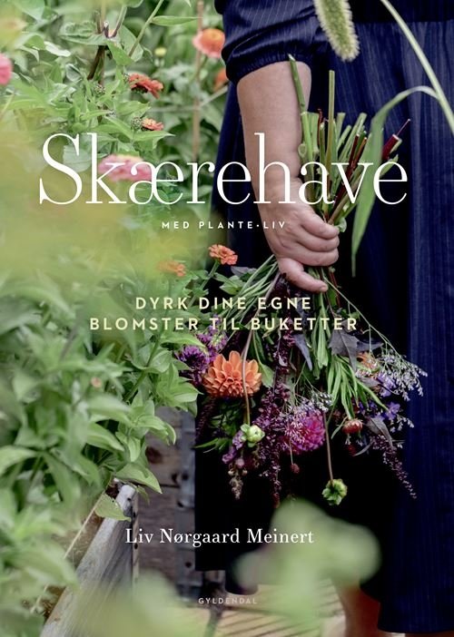 Cover for Liv Nørgaard Meinert · Skærehave med PlanteLiv (Bound Book) [1.º edición] (2024)