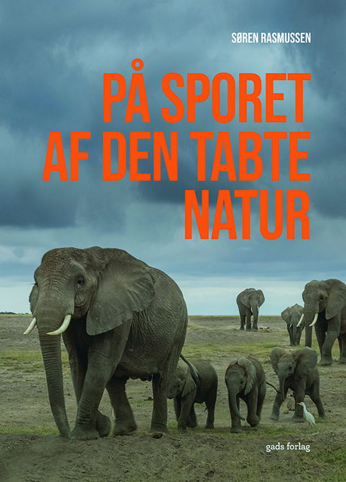 Cover for Søren Rasmussen · På sporet af den tabte natur (Sewn Spine Book) [1st edition] (2025)