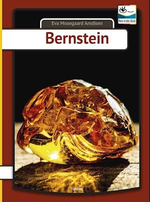 Cover for Eva Mosegaard Amdisen · Mein erstes Buch: Bernstein (Hardcover Book) [1th edição] (2020)