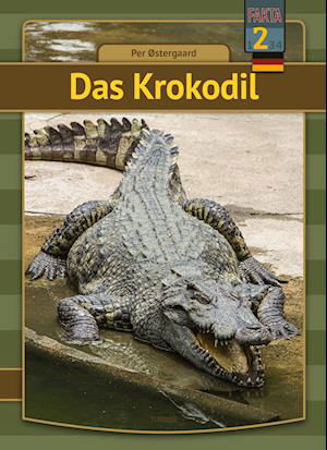 Cover for Per Østergaard · Mein erstes Buch: Das Krokodil (Innbunden bok) [1. utgave] (2022)