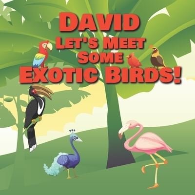 Cover for Chilkibo Publishing · David Let's Meet Some Exotic Birds! (Pocketbok) (2020)