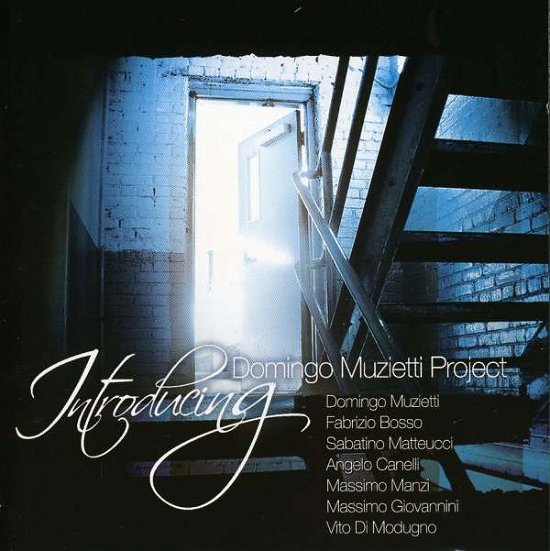 Introducing - Muzietti Domingo Project - Musiikki - SPLASCH - 9803014511620 - tiistai 22. heinäkuuta 2008