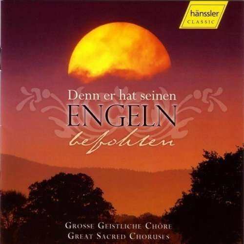 Cover for Denn er Hat Seinen Engeln Befohlen / Various (CD) (2004)