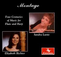 Montage: Four Centuries of Music for Flute & Harp - Nielsen / Boccherini / Rossini / Jongen / Ibert - Musik - CTR - 0044747287621 - 27. november 2007