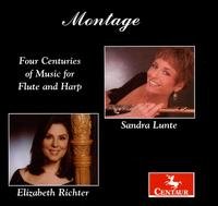 Cover for Nielsen / Boccherini / Rossini / Jongen / Ibert · Montage: Four Centuries of Music for Flute &amp; Harp (CD) (2007)
