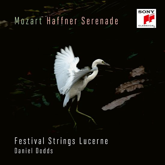 Mozart: Haffner-serenade Kv 250 & Marsch Kv 249 - Festival Strings Lucerne & Daniel Dodds - Musiikki - CLASSICAL - 0196587250621 - perjantai 23. syyskuuta 2022