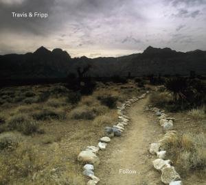 Cover for Travis &amp; Fripp · Discretion (DVD/CD) (2012)